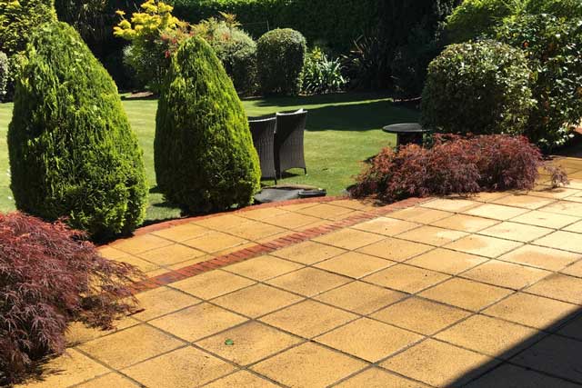 Professional Service from Start to Finish